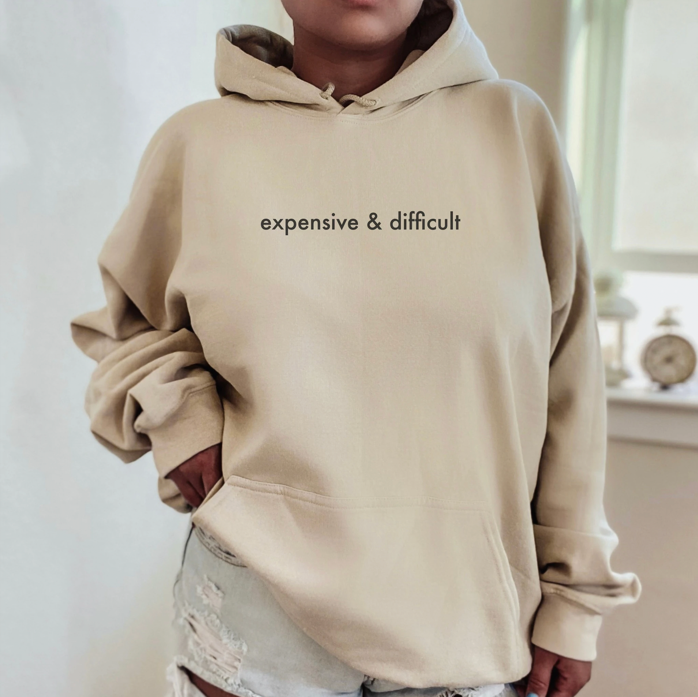 Expensive and Difficult Hoodie